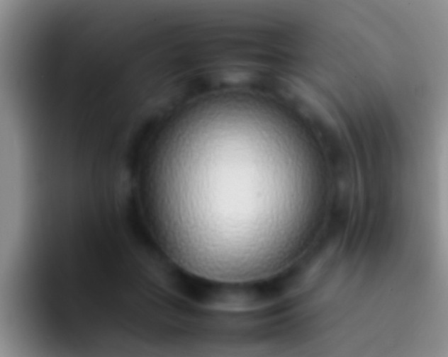 X0000092100555200709262143