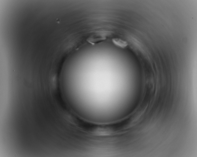 X0000092100556200709262143