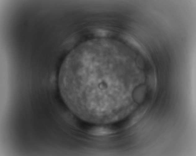 X0000092100557200709262143