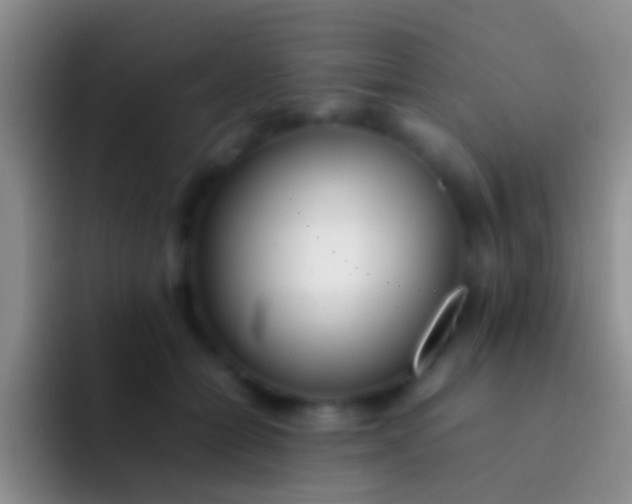 X0000092100558200709262143