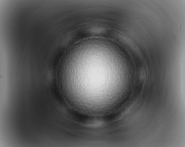 X0000092100559200709262143