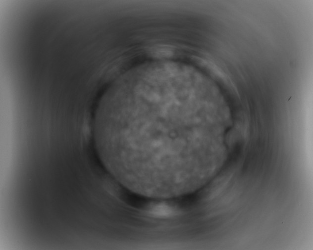 X0000092100561200709262143