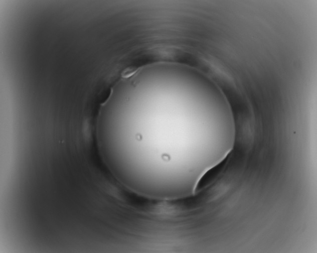 X0000092100562200709262143