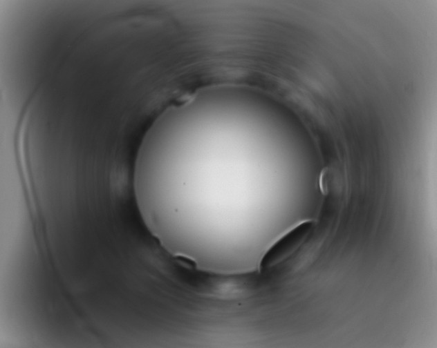 X0000092100564200709262143