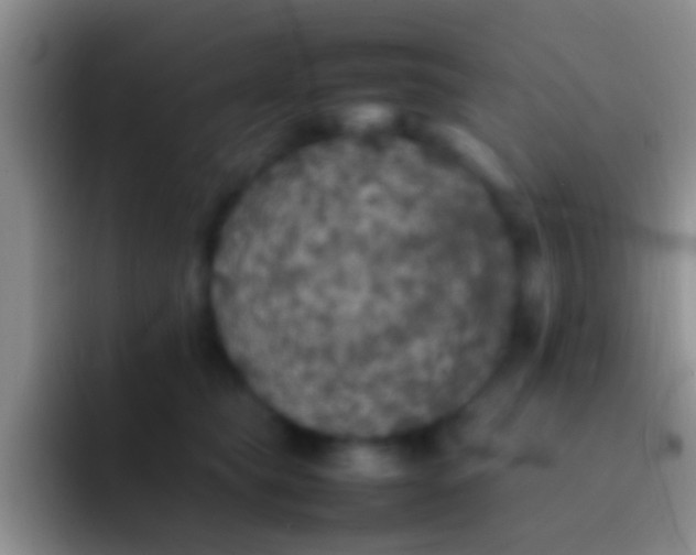 X0000092100565200709262143