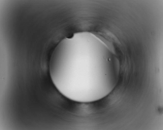 X0000092100566200709262143