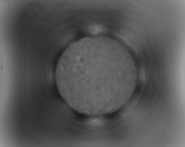 X0000092100569200709262143