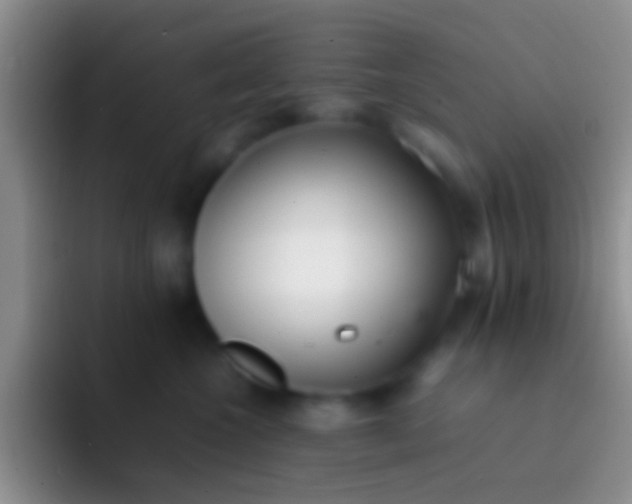 X0000092100572200709262143