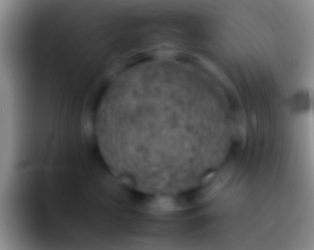 X0000092100573200709262143