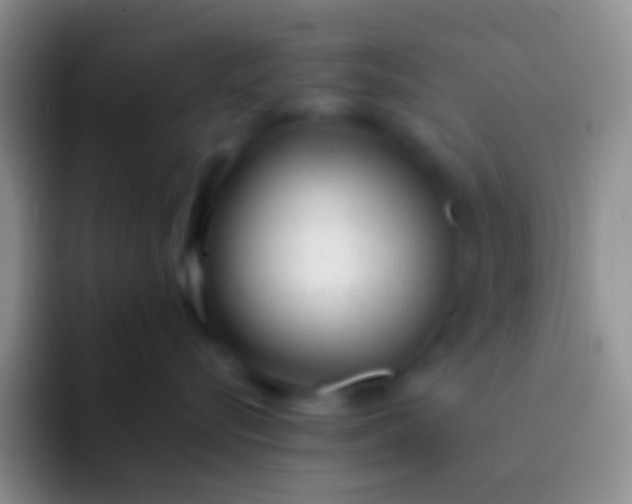 X0000092100576200709262143