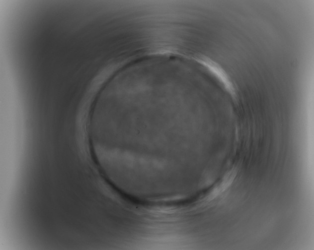 X0000092100577200709262143