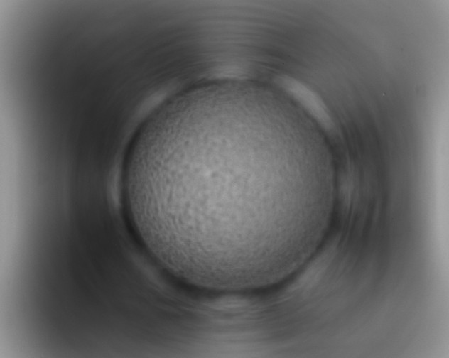 X0000092100578200709262143