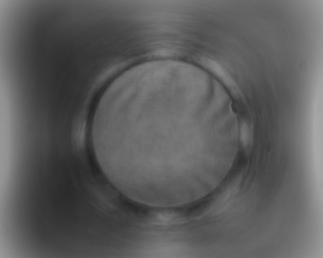 X0000092100579200709262143