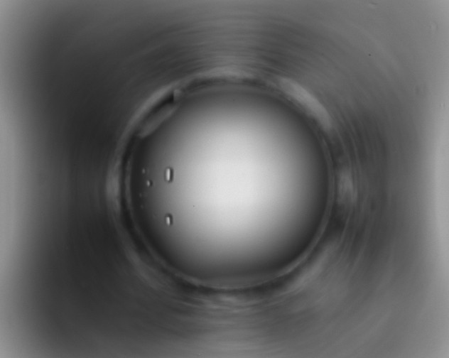 X0000092100580200709262143