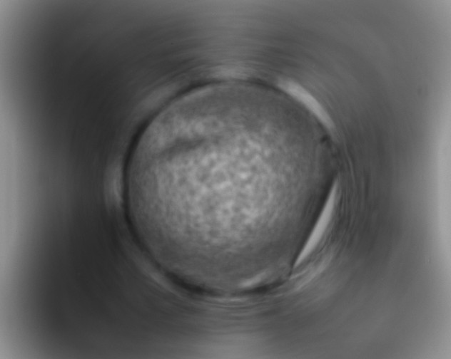 X0000092100581200709262143