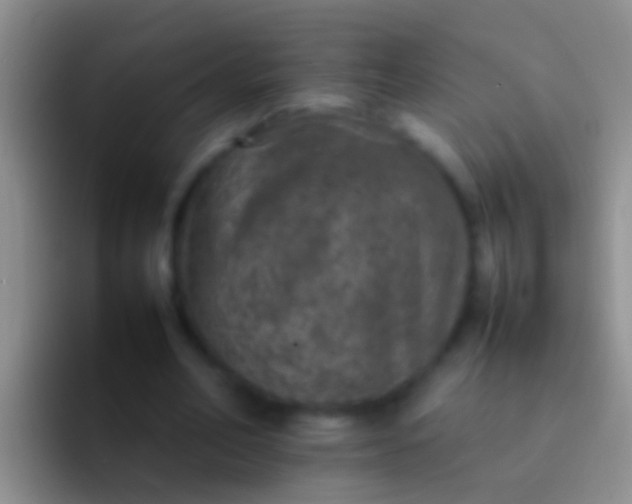 X0000092100582200709262143