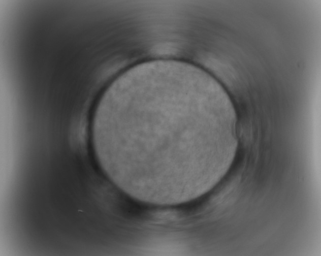 X0000092100583200709262143