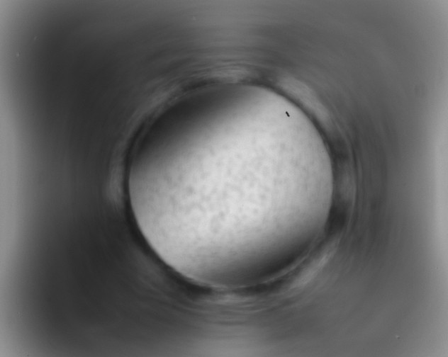 X0000092100585200709262143