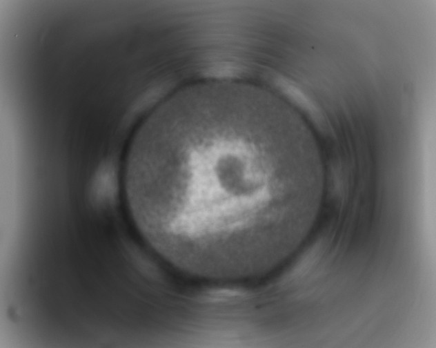 X0000092100586200709262143