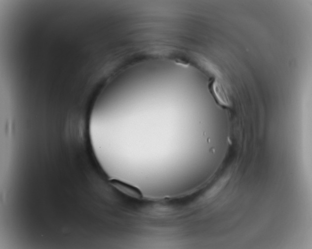 X0000092100589200709262142