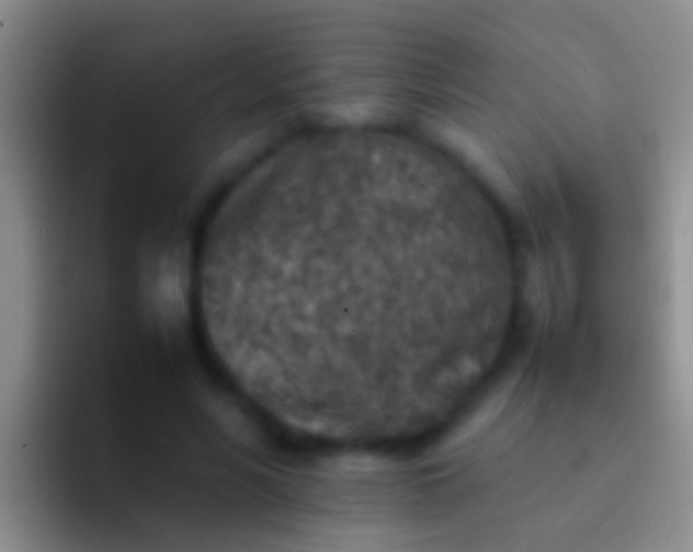 X0000092100590200709262142