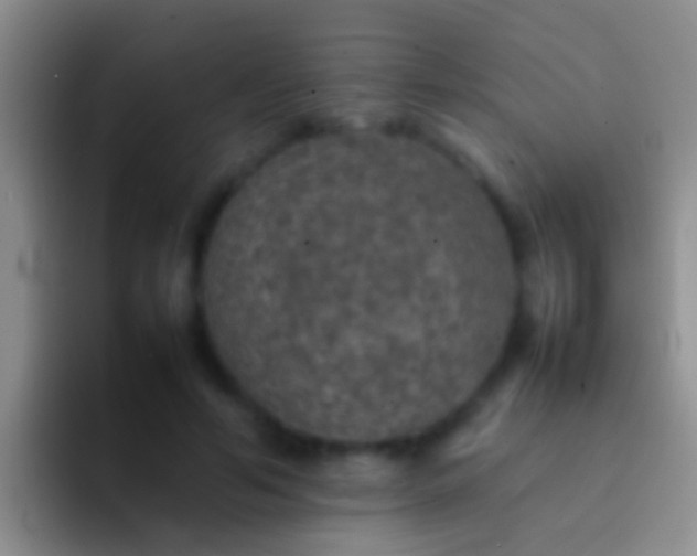 X0000092100594200709262142