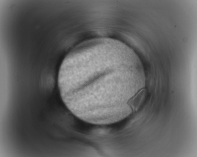 X0000092100595200709262142