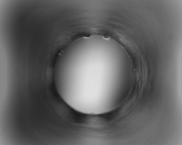 X0000092100605200709262142