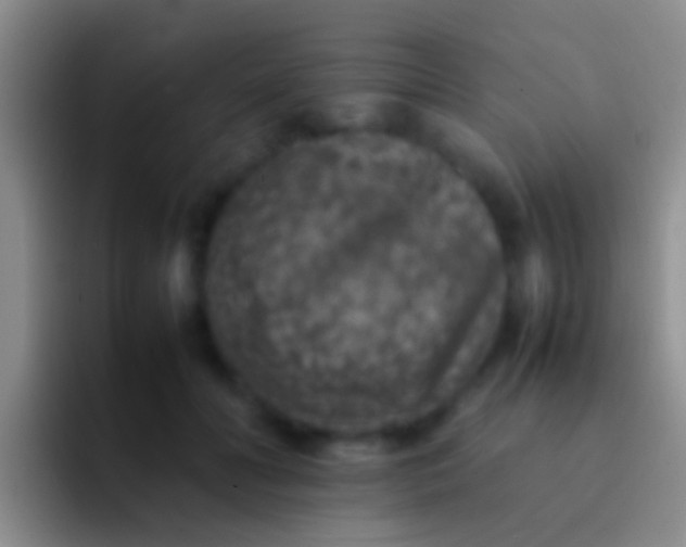 X0000092100606200709262142