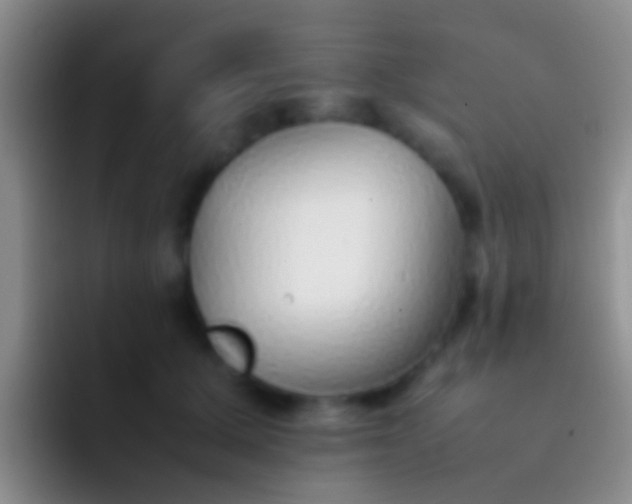 X0000092100607200709262142