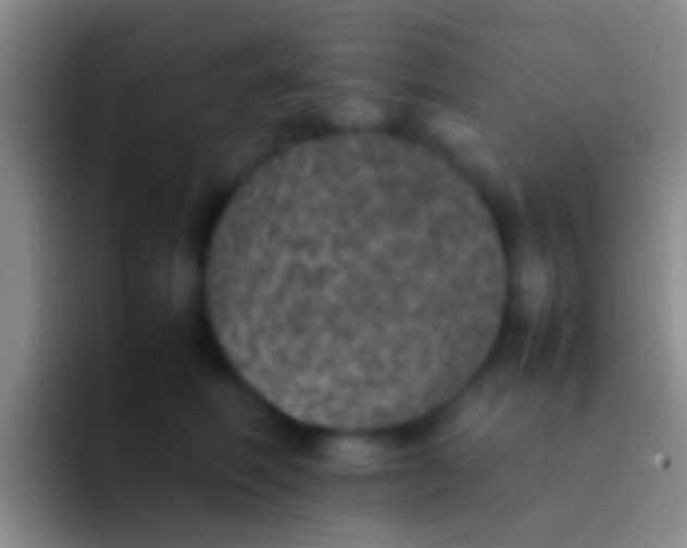 X0000092100614200709262142