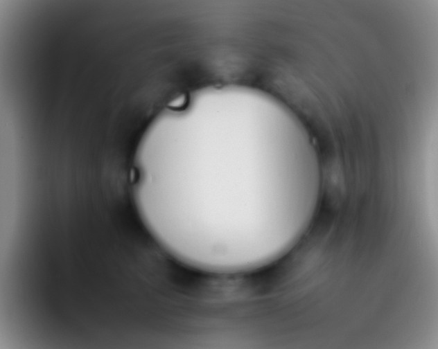 X0000092100615200709262142