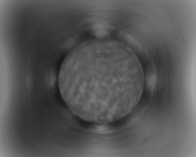 X0000092100618200709262142