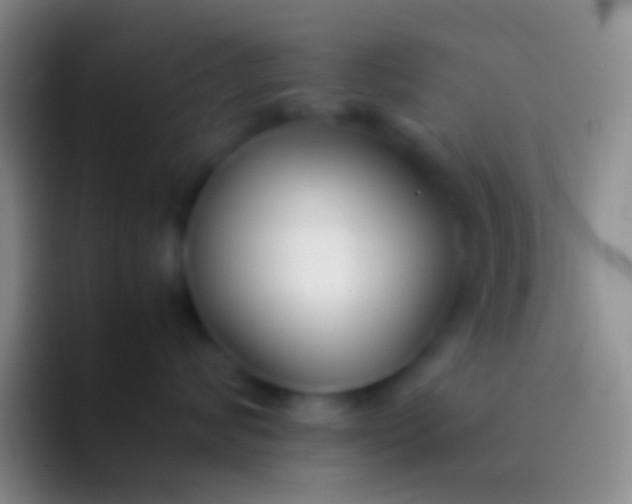 X0000092100624200709262142