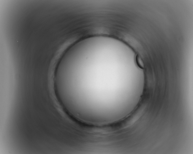 X0000092100625200709262142