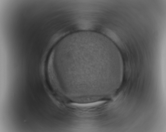 X0000092100626200709262142