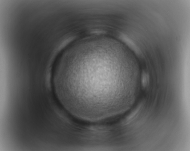 X0000092100627200709262142