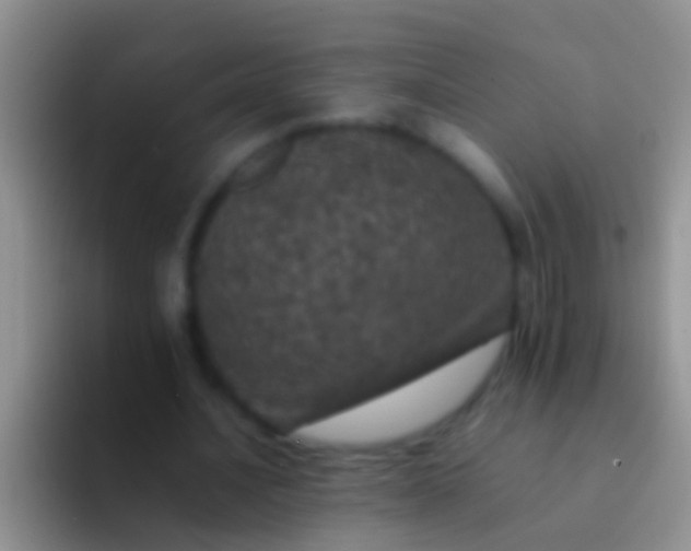 X0000092100628200709262142