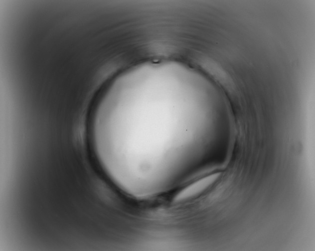 X0000092100630200709262142