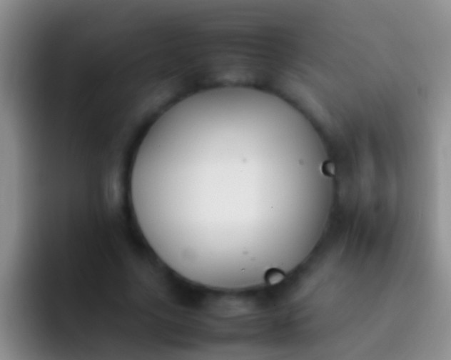 X0000092100635200709262142