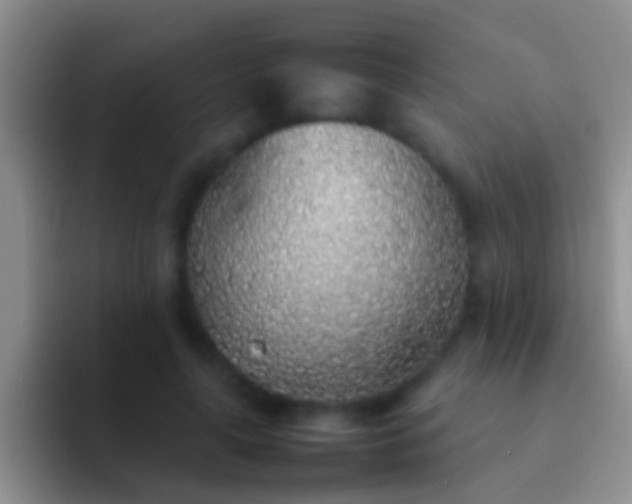 X0000092100643200709262142