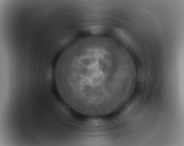 X0000092100650200709262142