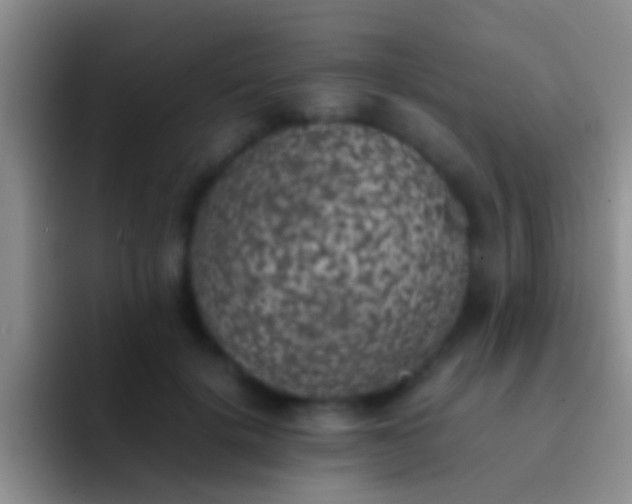 X0000092100652200709262142