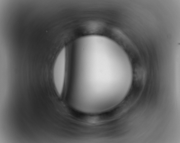 X0000092100653200709262142