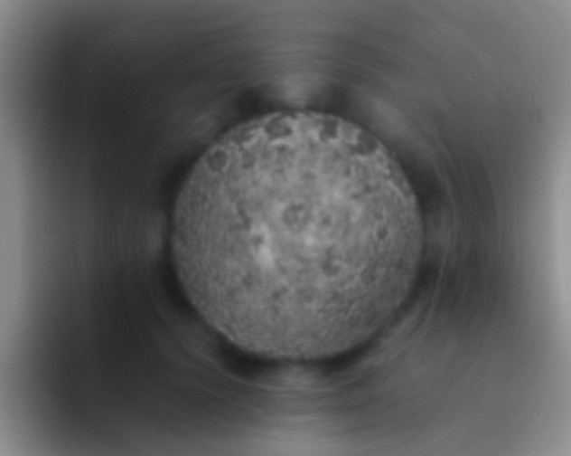 X0000092100656200709262142