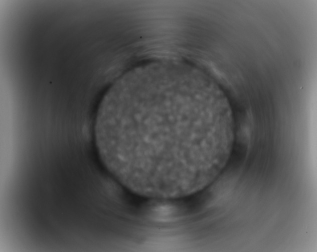 X0000092100658200709262142