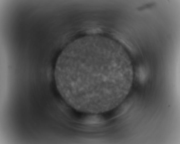 X0000092100659200709262142