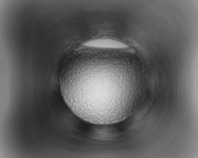 X0000092100661200709262142