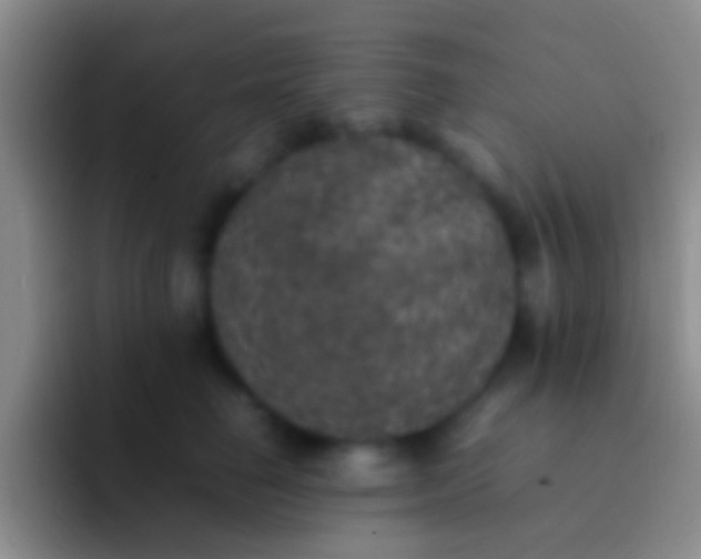 X0000092100662200709262142