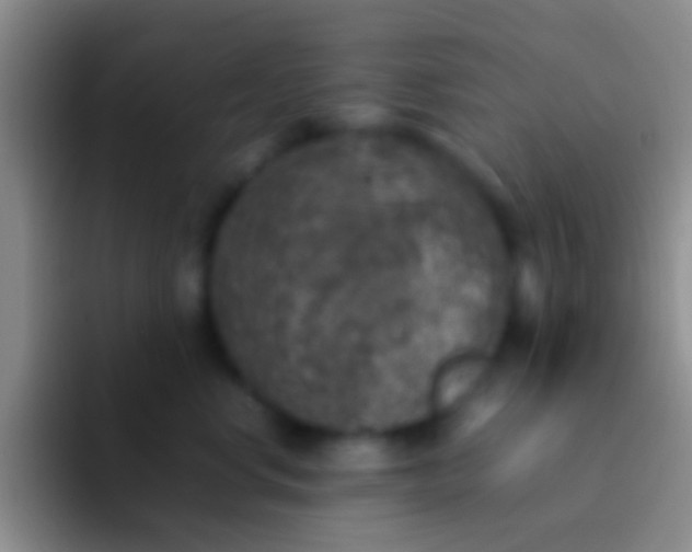 X0000092100668200709262142